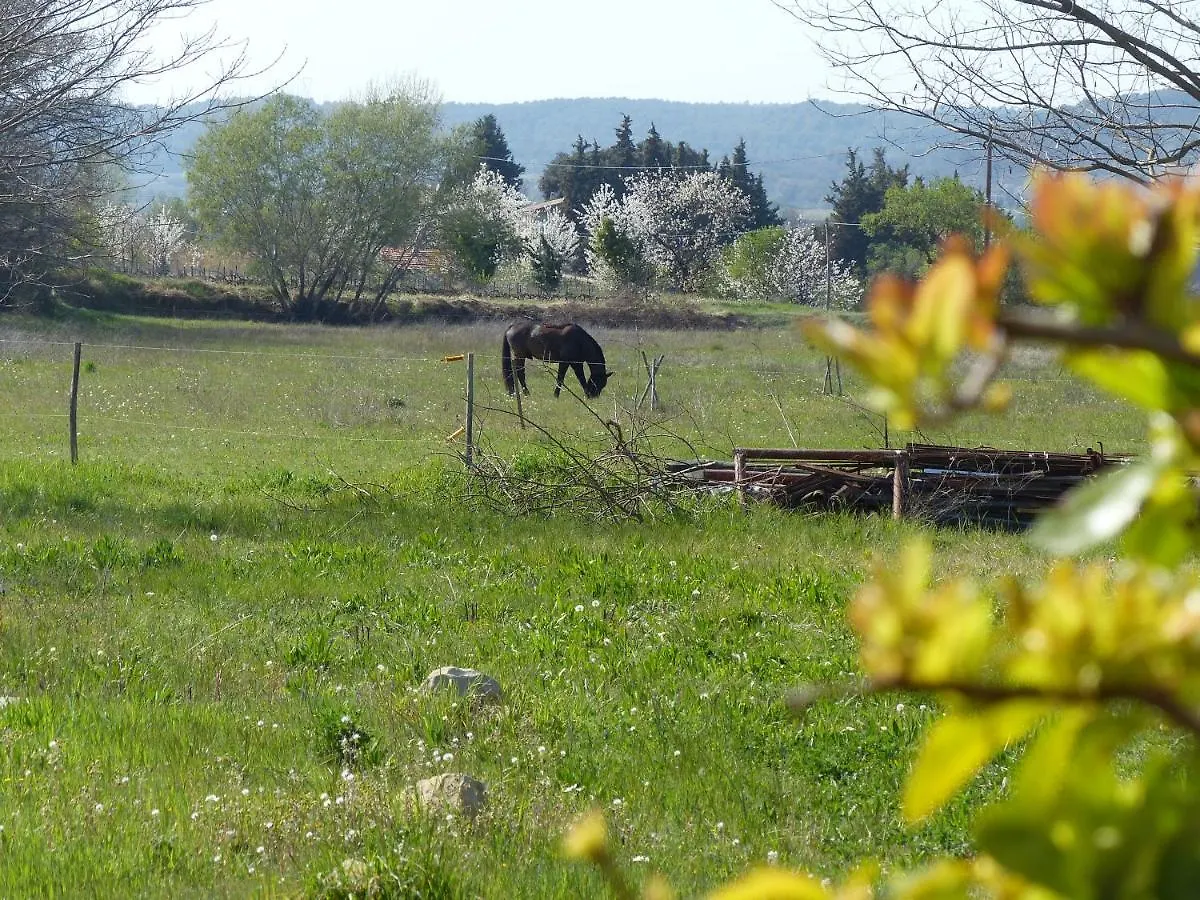 Campagne De Saint Clair location